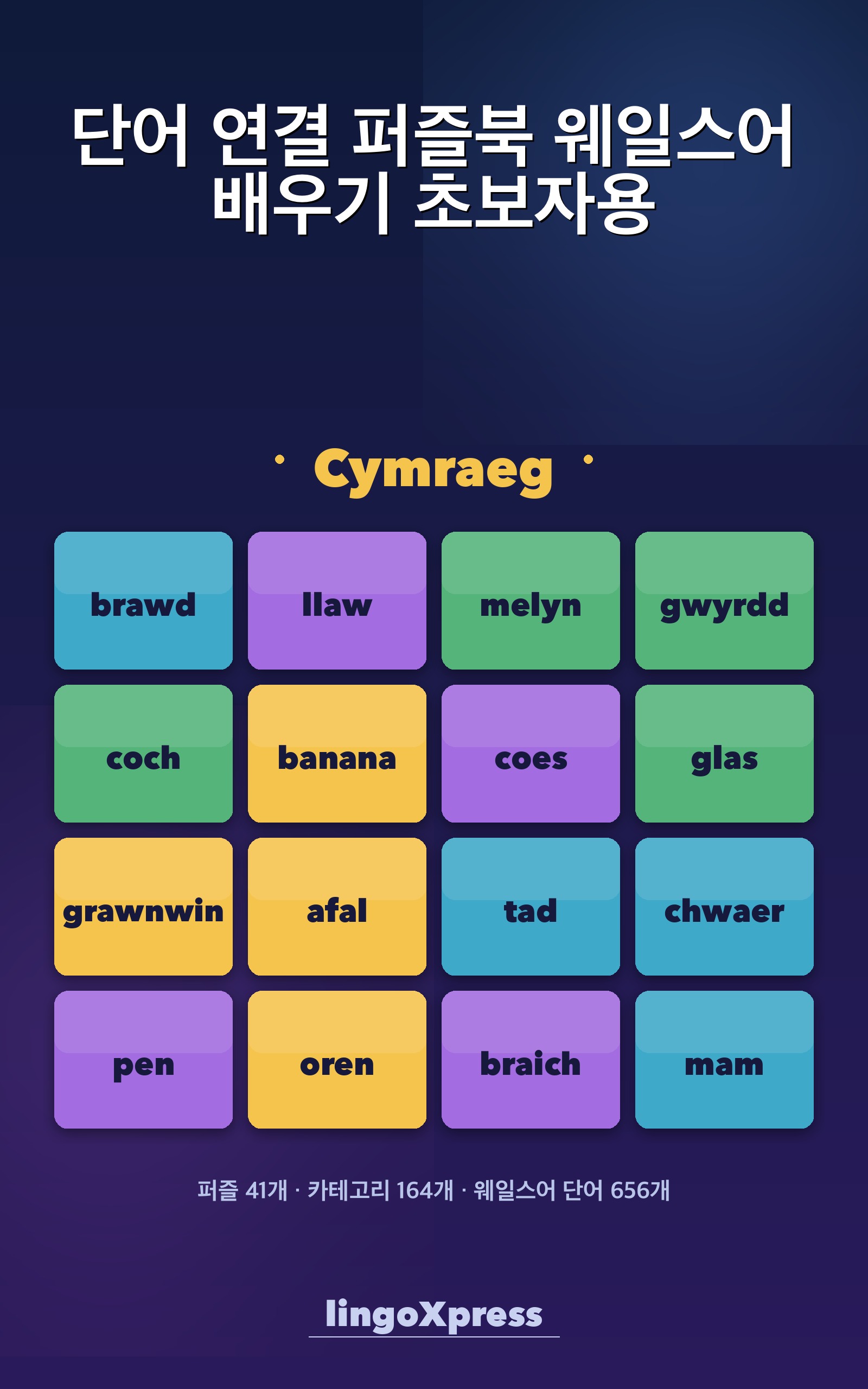 단어 연결 퍼즐북 웨일스어 배우기 초보자용
