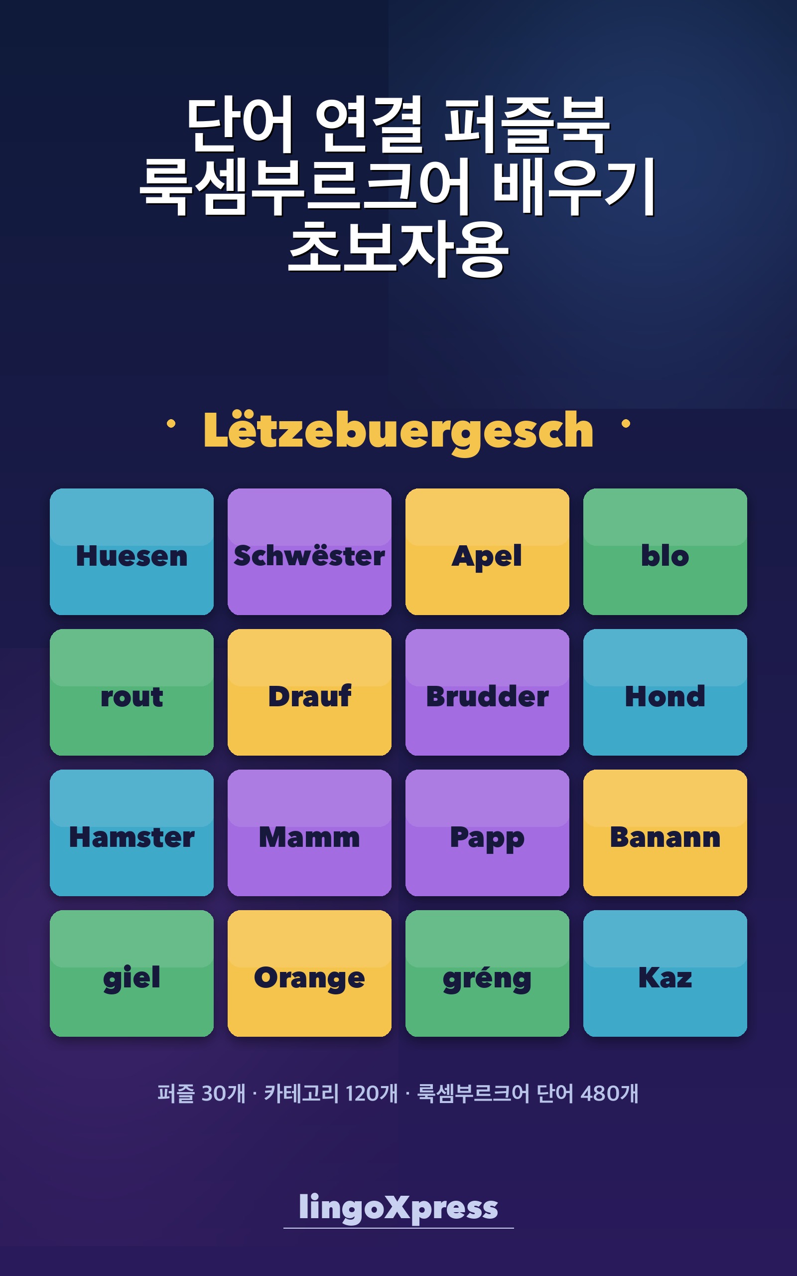 단어 연결 퍼즐북 룩셈부르크어 배우기 초보자용
