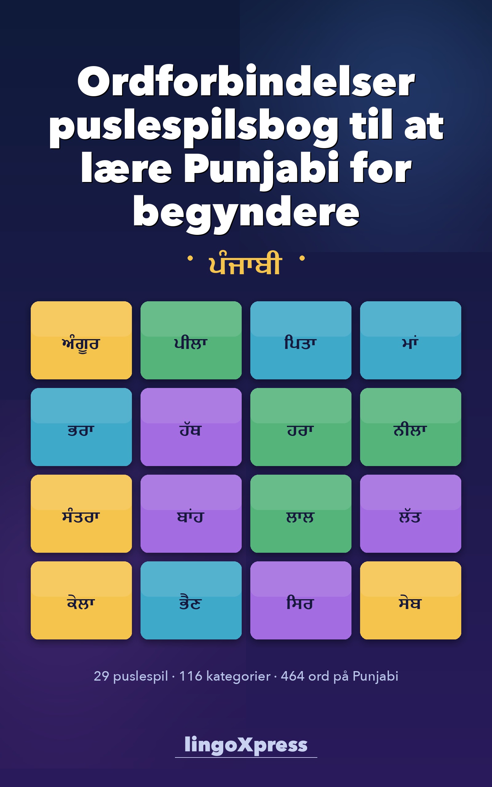 Ordforbindelser puslespilsbog til at lære Punjabi for begyndere