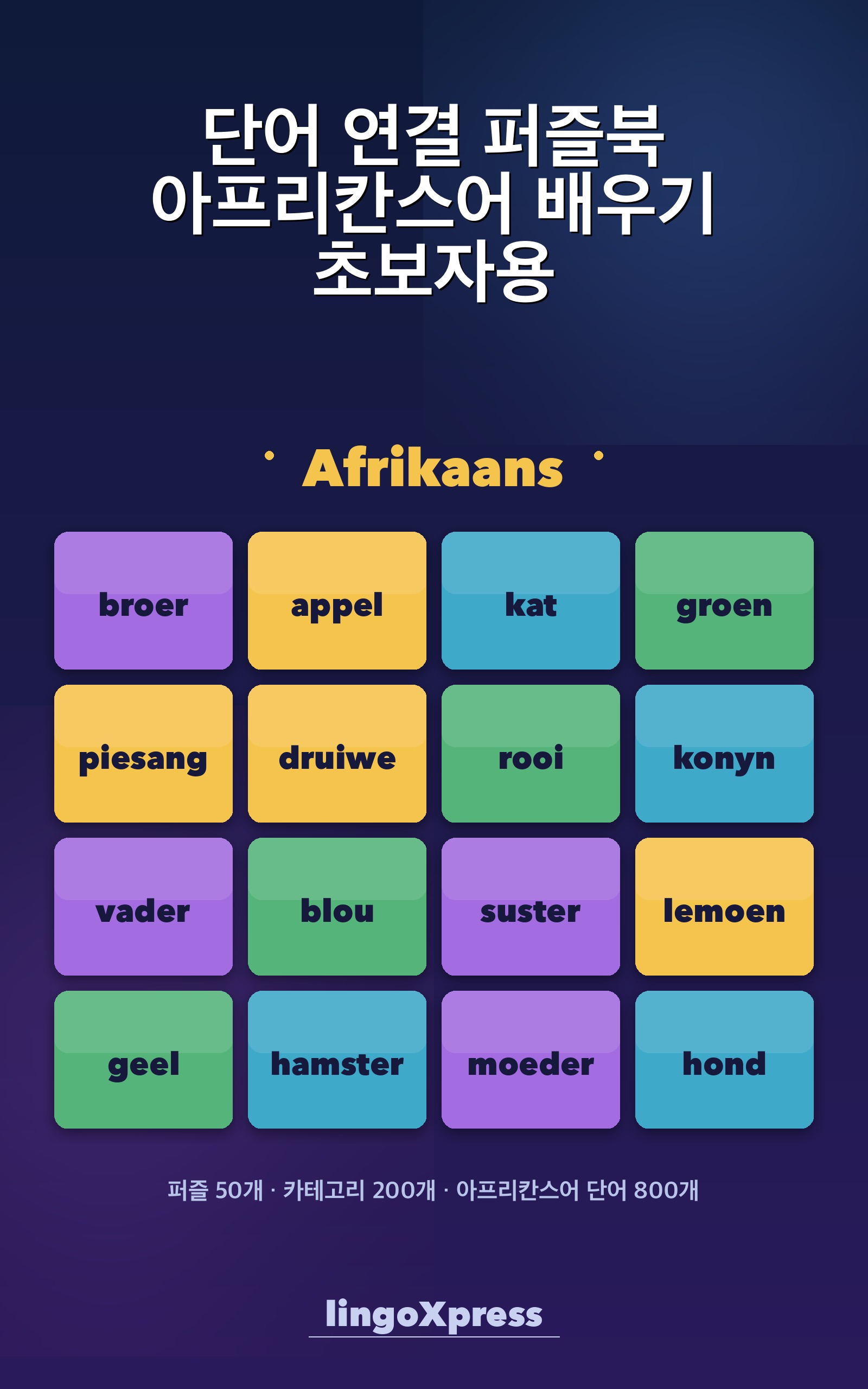 단어 연결 퍼즐북 아프리칸스어 배우기 초보자용