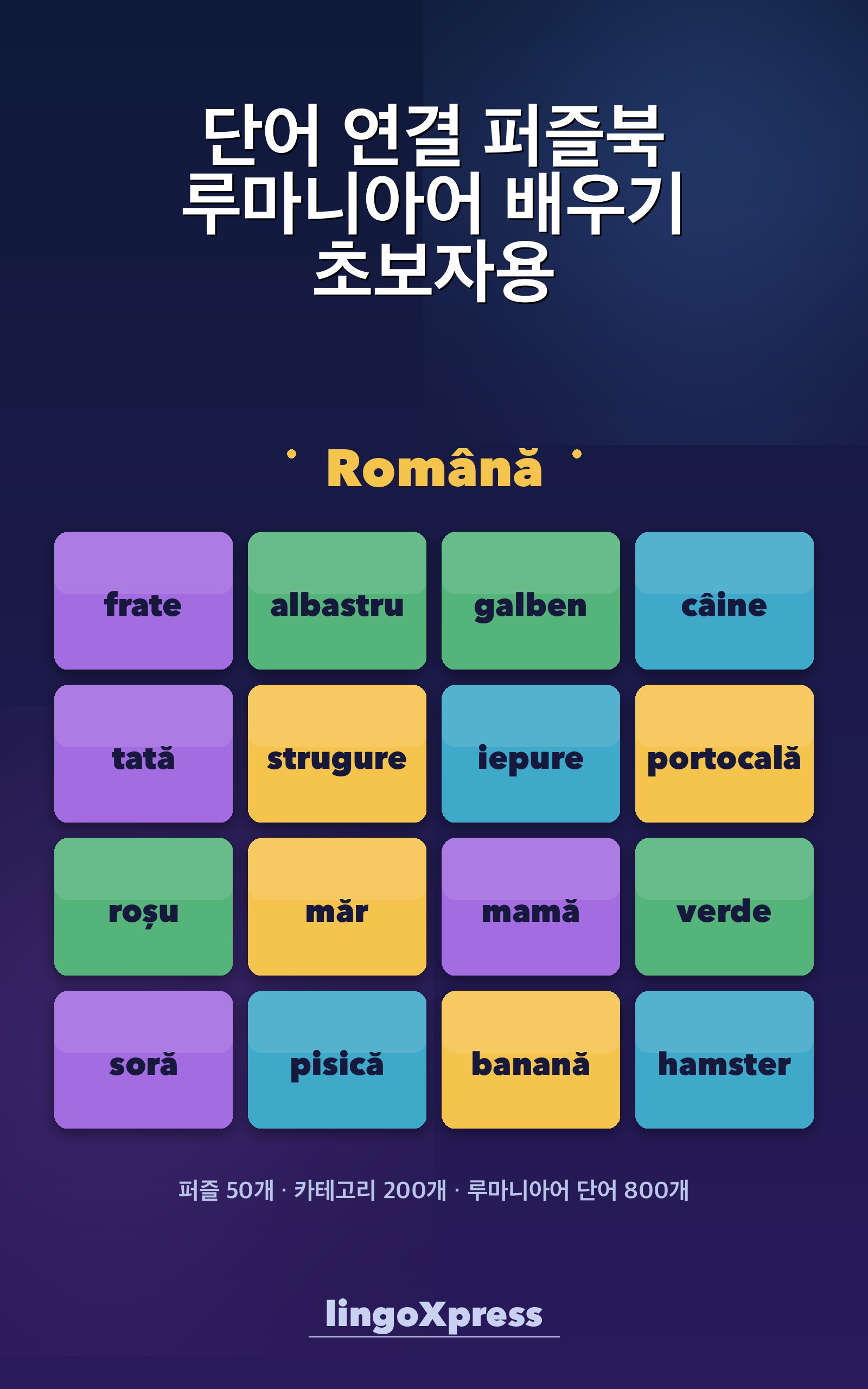 단어 연결 퍼즐북 루마니아어 배우기 초보자용