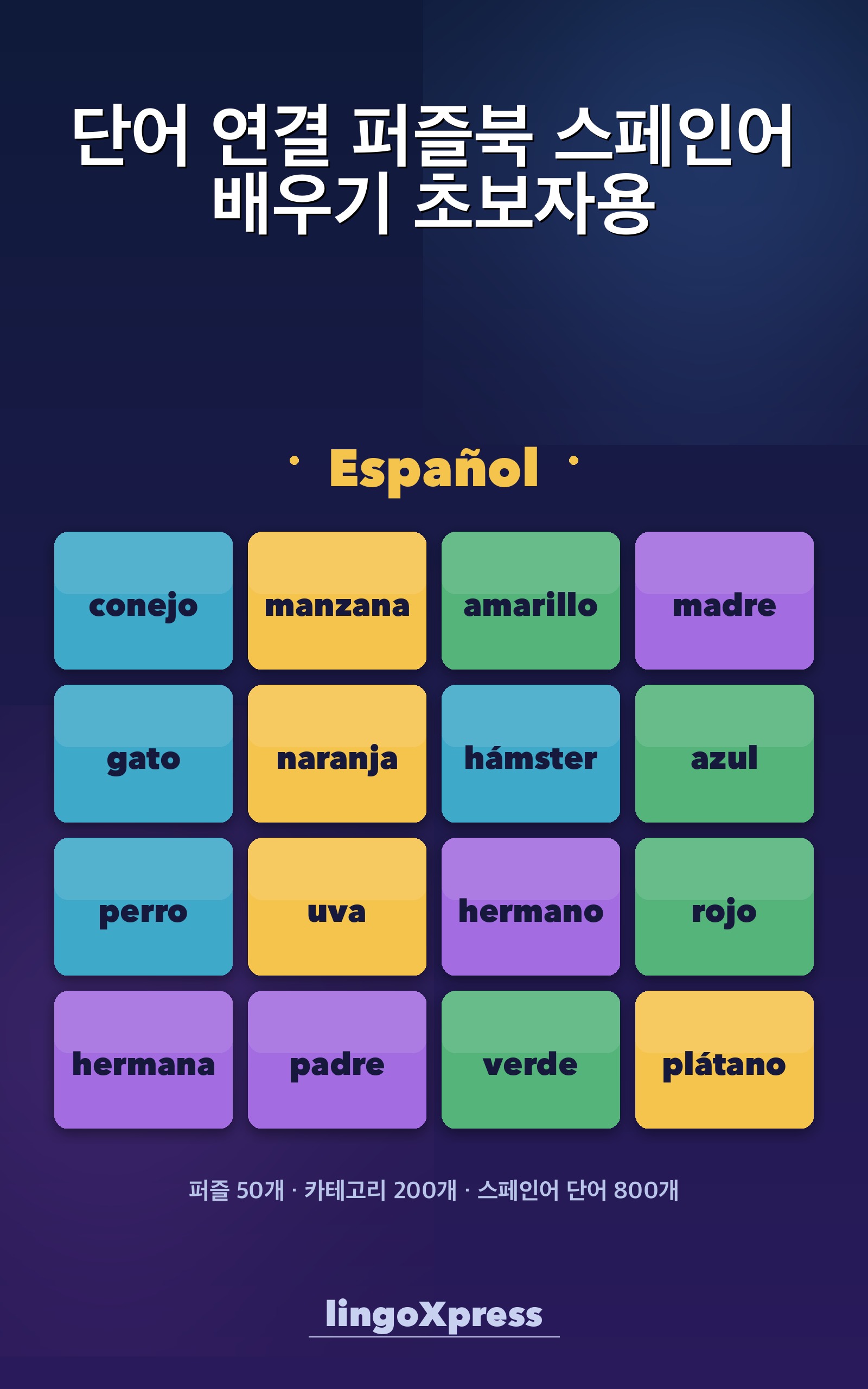 단어 연결 퍼즐북 스페인어 배우기 초보자용