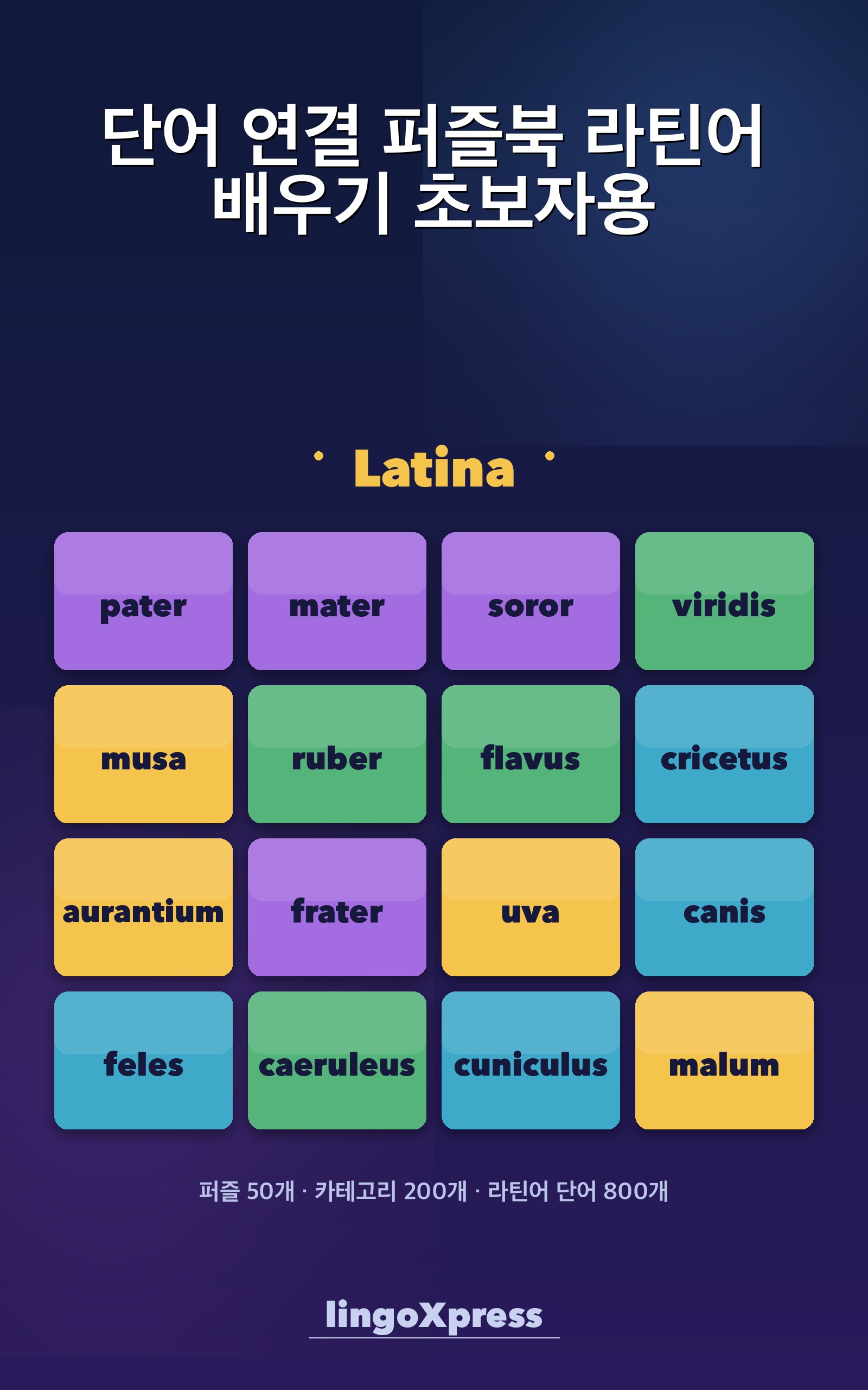 단어 연결 퍼즐북 라틴어 배우기 초보자용