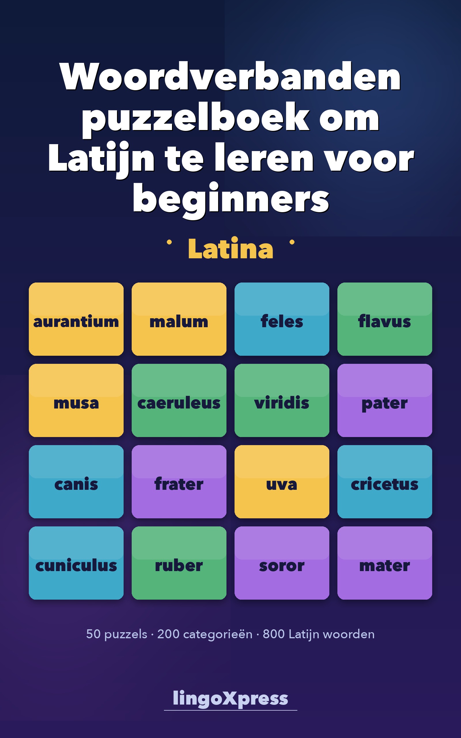 Woordverbanden puzzelboek om Latijn te leren voor beginners