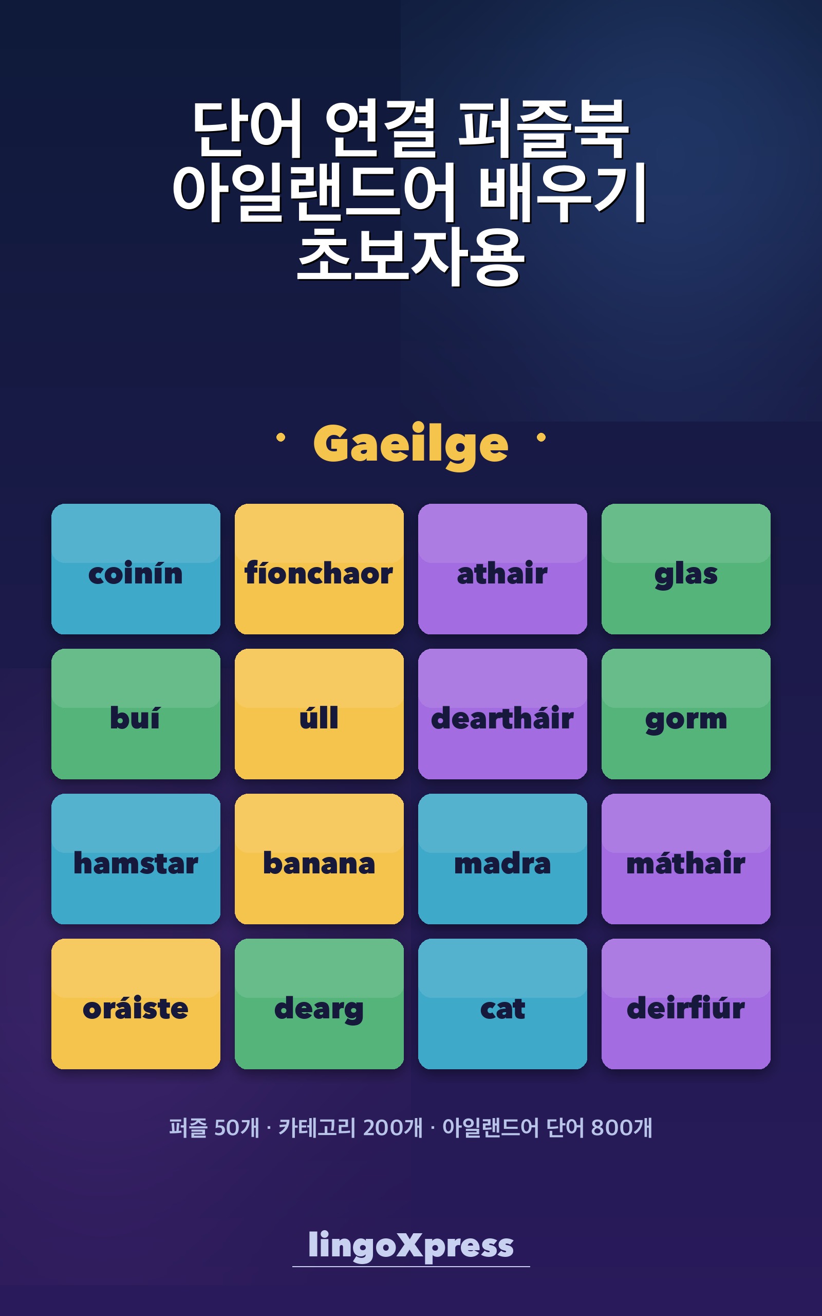 단어 연결 퍼즐북 아일랜드어 배우기 초보자용