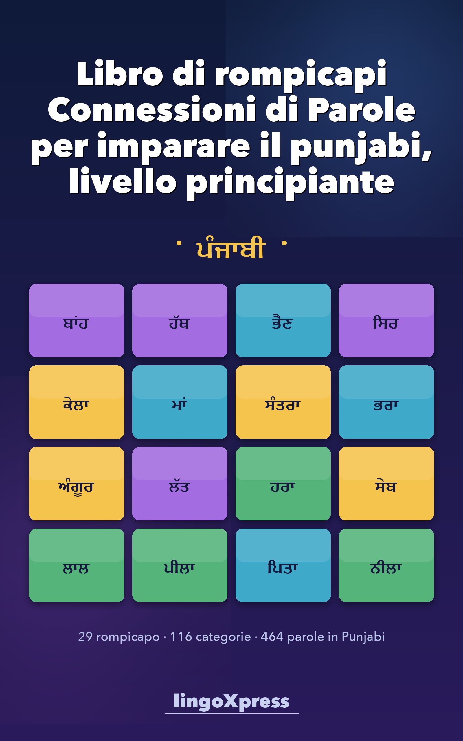 Libro di rompicapi Connessioni di Parole per imparare il punjabi per principianti