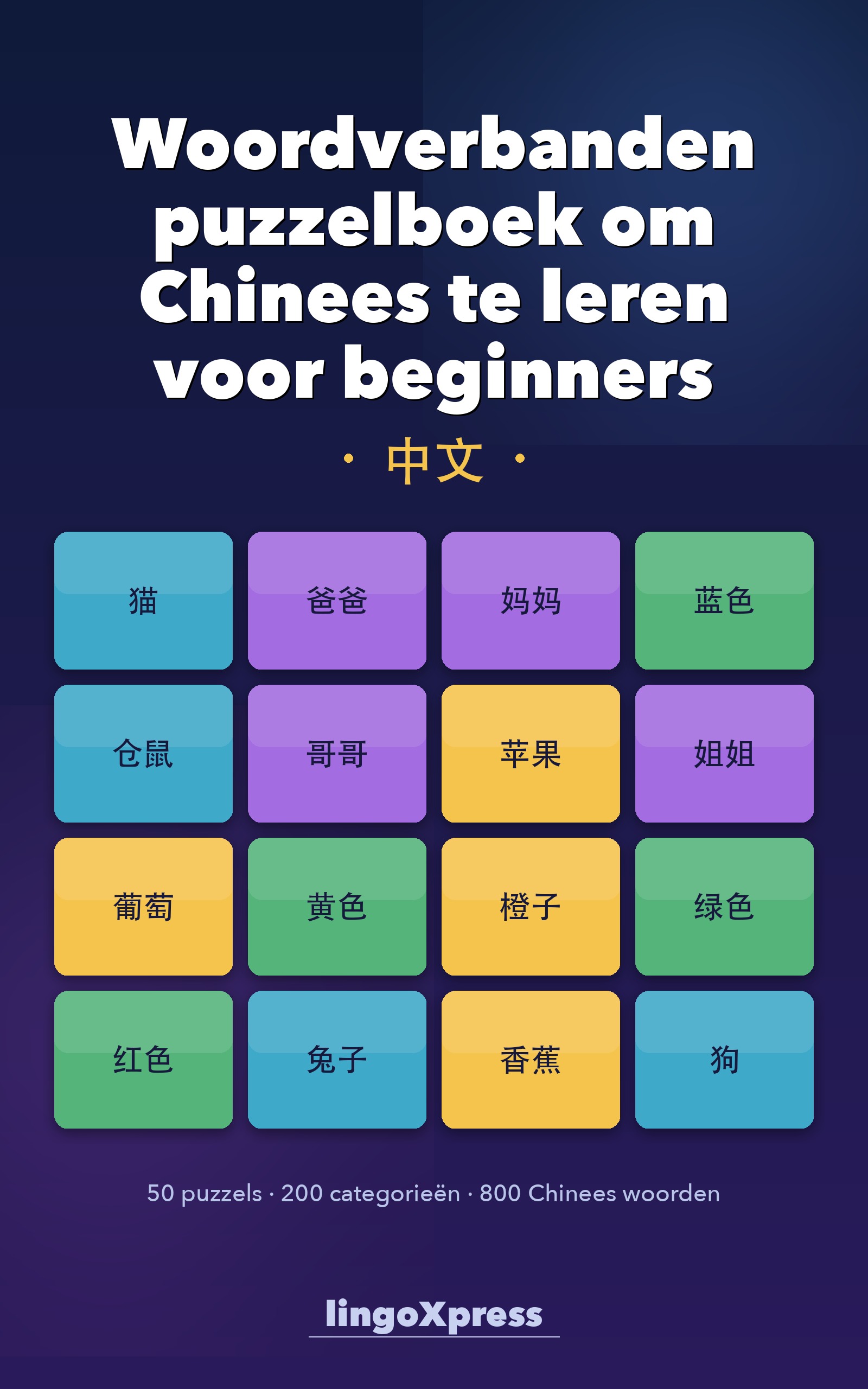 Woordverbanden puzzelboek om Chinees te leren voor beginners