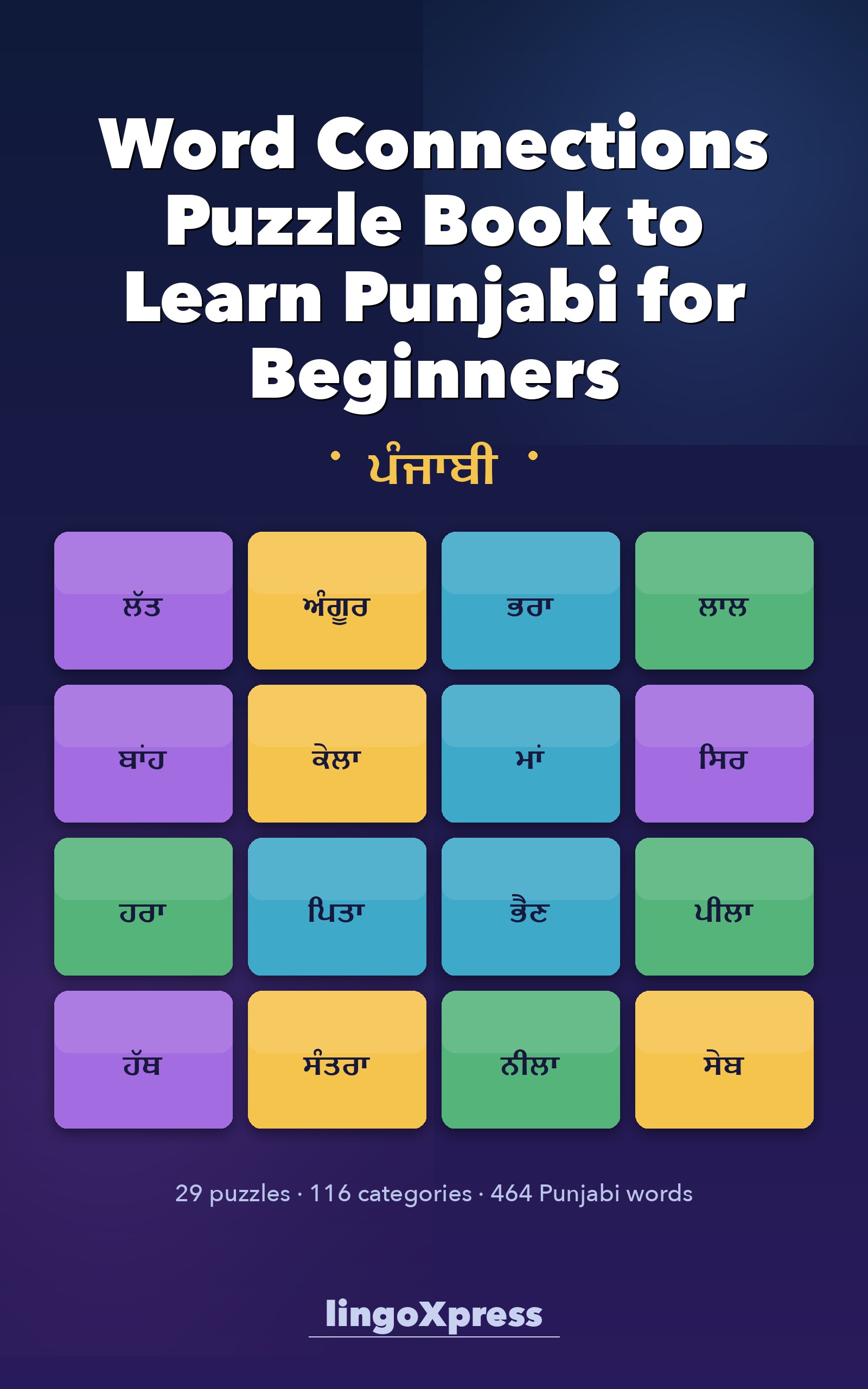 Word Connections Puzzle Book to Learn Punjabi for Beginners