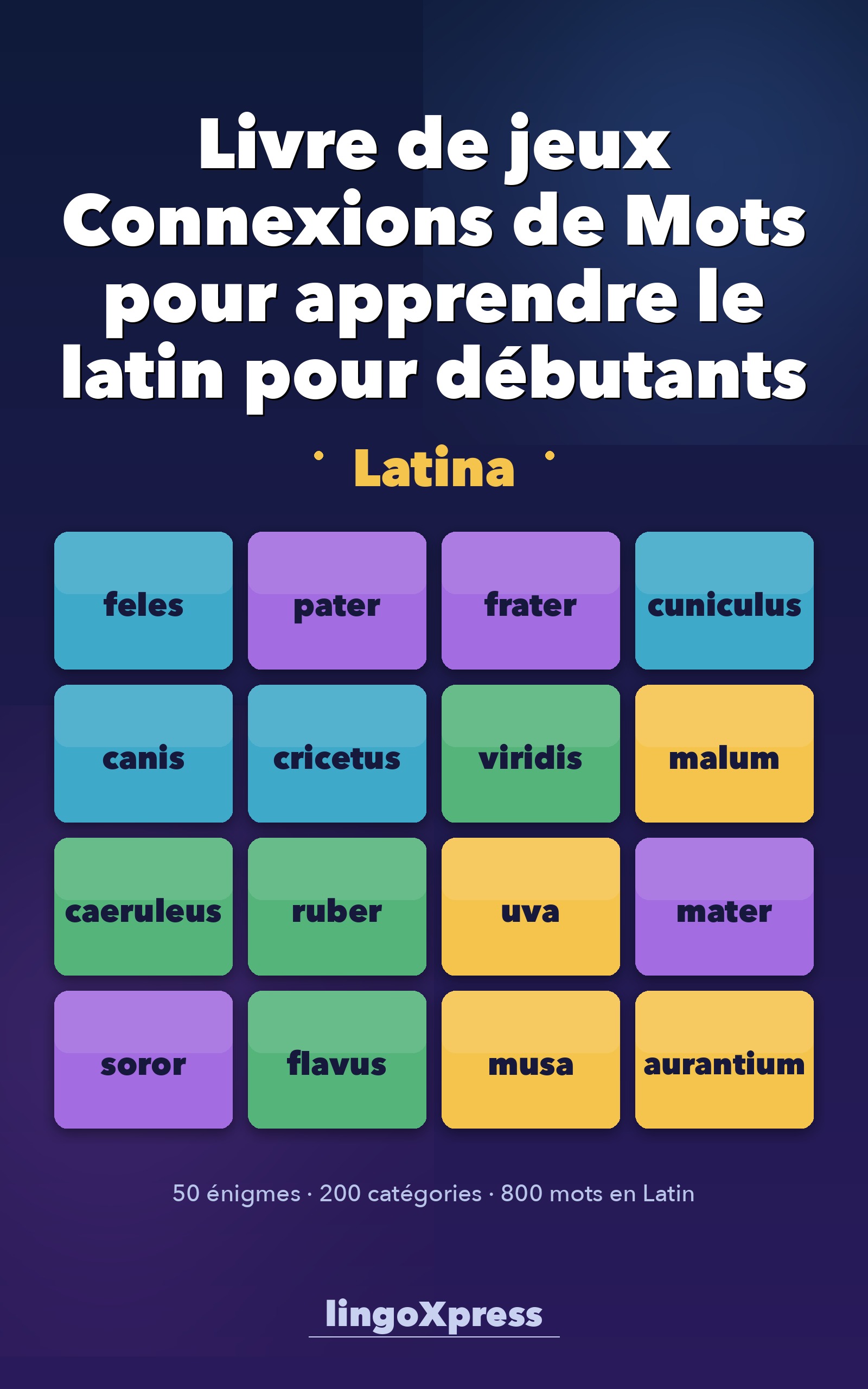 Livre de jeux Connexions de Mots pour apprendre le latin pour débutants